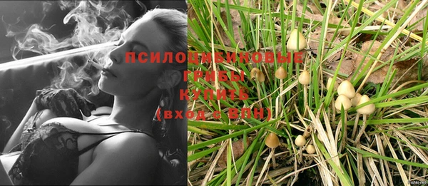 PSILOCYBIN Лиски