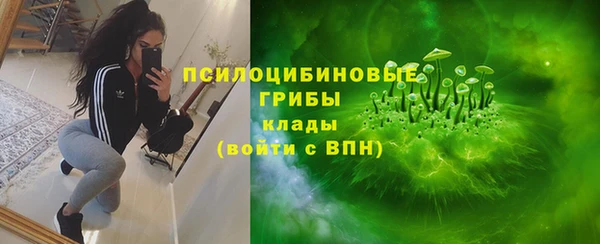 PSILOCYBIN Лиски
